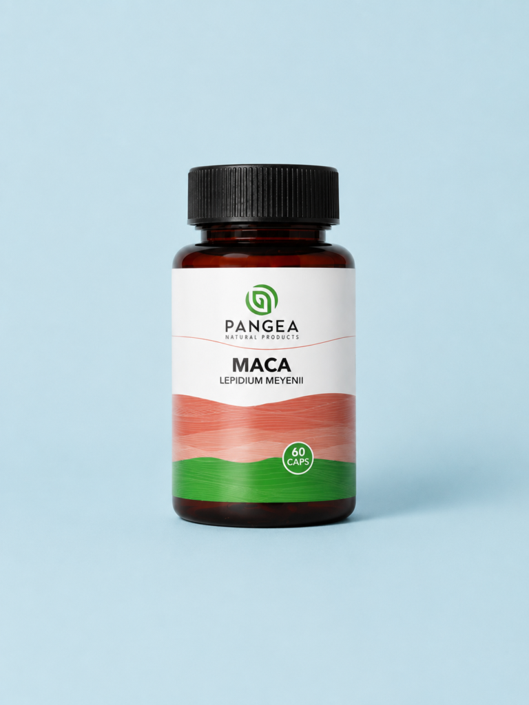 MACA